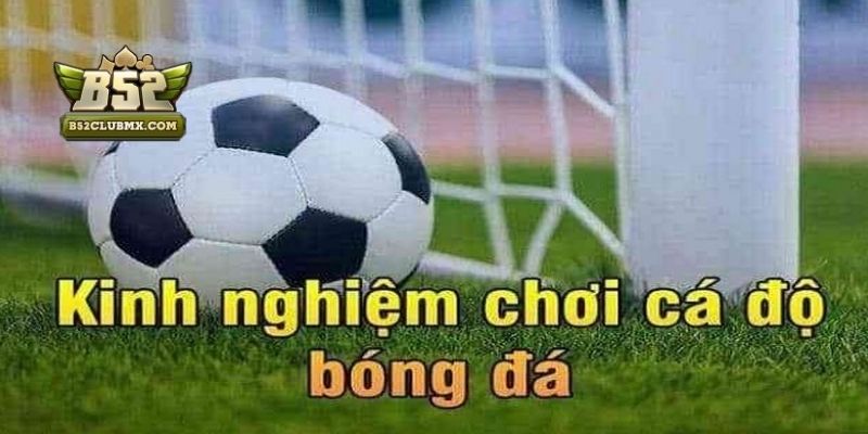 6 Kinh nghiệm soi kèo bóng đá chuẩn xác tăng tỷ lệ thắng lớn 6 Kinh nghiệm soi kèo bóng đá chuẩn xác tăng tỷ lệ thắng lớn