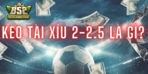 kèo tài xỉu 2 2.5 là gì
